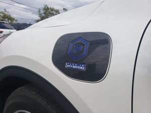 Ford Escape Hybrid (SUV) | 2020-2022 | Rocker (2Tones) Kit | #FOES20RIK