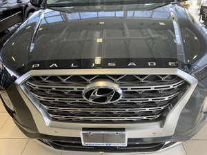 Hyundai Palisade (SUV) | 2020-2025 | Hood Deflector w/logo | #LUXPA20DEL