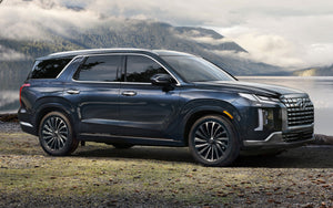 Hyundai Palisade (SUV) | 2020-2025 | Rocker | #HYPA23RKI